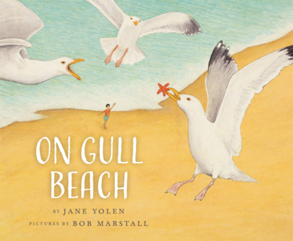 Library Binding On Gull Beach Book