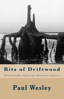 Paperback Bits of Driftwood Book