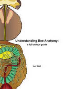 Paperback Understanding Bee Anatomy: A Full Colour Guide Book