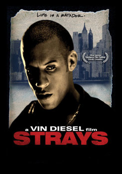 DVD Strays Book