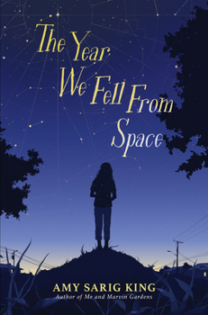 Hardcover The Year We Fell from Space Book