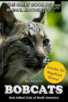 Paperback Bobcats: Bob-tailed Cats of North America Book