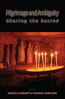 Paperback Pilgrimage and Ambiguity: Sharing the Sacred Book