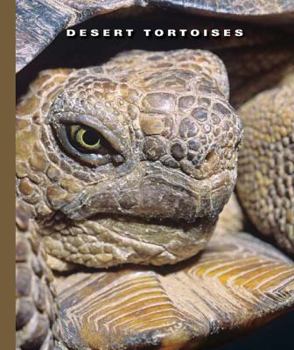 Library Binding Desert Tortoises Book