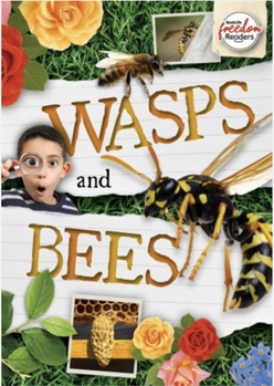 Paperback Wasps and Bees Book