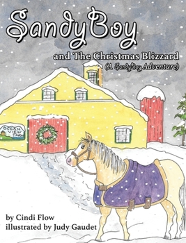 Hardcover SandyBoy and the Christmas Blizzard (A SandyBoy Adventure) Book