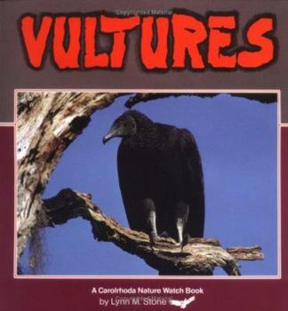 Vultures (Bird Discovery Library)