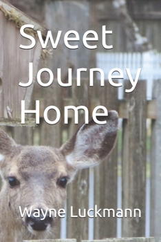 Paperback Sweet Journey Home Book
