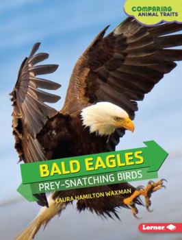 Bald Eagles: Prey-Snatching Birds - Book  of the Comparing Animal Traits