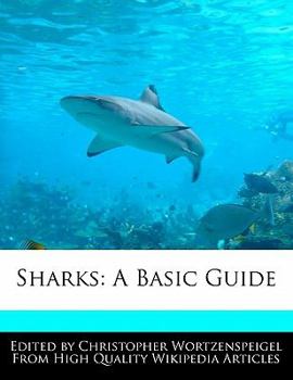 Sharks : A Basic Guide
