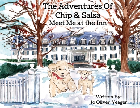 Paperback The Adventures of Chip and Salsa: Meet Me At The Inn Book