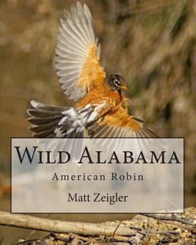 Paperback Wild Alabama: American Robin Book