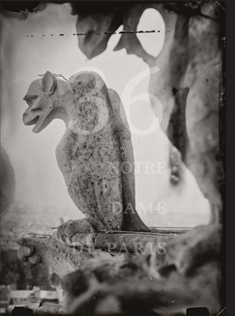 Hardcover Tomas Van Houtryve: 36 Views of Notre Dame Book
