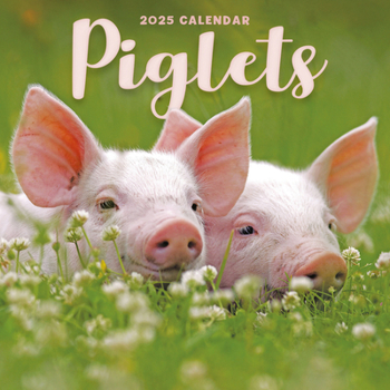 Calendar 2025 Piglets Mini calendar Book