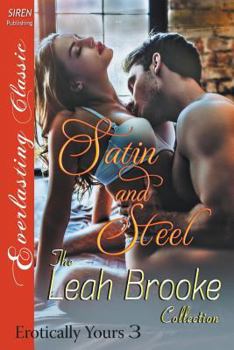 Satin and Steel - Book #3 of the Erotically Yours