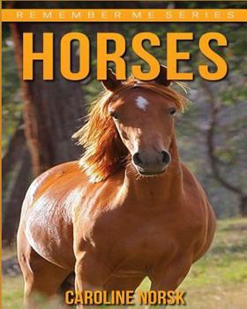 Paperback Horses: Amazing Photos & Fun Facts Book About Horses For Kids Book