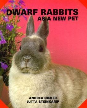 Paperback Dwarf Rabbits as a New Pet Book