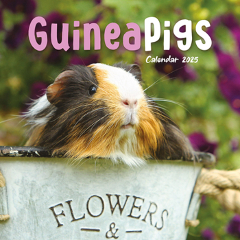 Calendar 2025 Guinea Pigs Mini calendar: Plastic Free Packaging Book