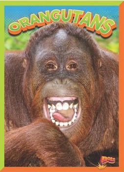 Paperback Orangutans Book