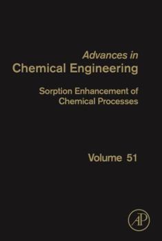 Hardcover Sorption Enhancement of Chemical Processes: Volume 51 Book
