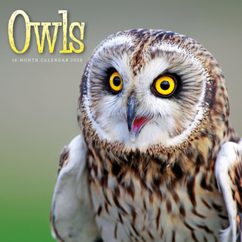 2026 Owls Wall Calendar
