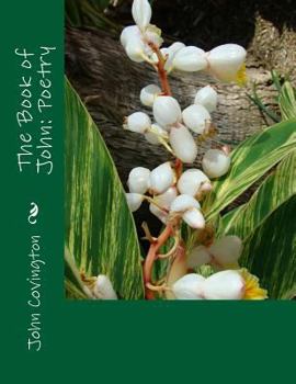 Paperback The Book of John: Poetry Book