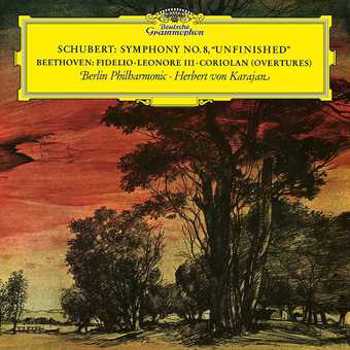 Vinyl Schubert: Symphony No.8; Beethoven: Overtures (LP) Book