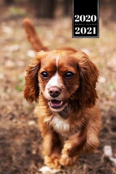 Cavalier King Charles Spaniel Dog Calendar Week Planner 2020 / 2021 - Forest: Pup Puppy Doggie Pet Owner Weekly Bullet Journal Notebook Diary in 6” x 9” Inch Pocket Size