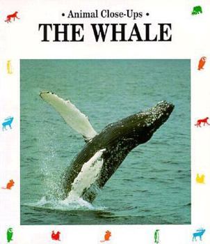 Paperback The Whale, Giant of the Ocean Book