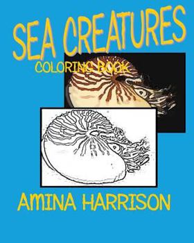 Paperback Sea Creatures: Coloring Book