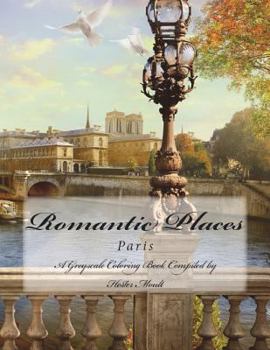 Paperback Romantic Places: Paris Book