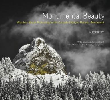 Hardcover Monumental Beauty Book