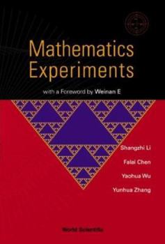 Paperback Mathematics Experiments Book