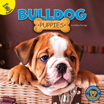 Paperback Bulldog Puppies Book