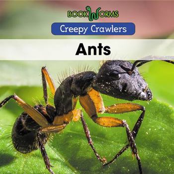 Ants - Book  of the Creepy Crawlers