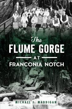 Paperback The Flume Gorge at Franconia Notch Book
