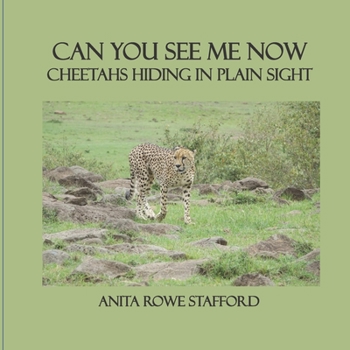 Paperback Can You See Me Now: Cheetahs Hiding in Plain Sight Book
