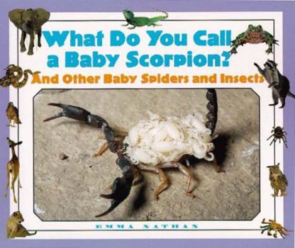 Library Binding Scorpion? and Other Baby Spiders and Insects Book