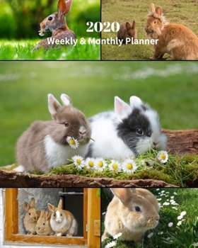 Paperback 2020 Weekly and Monthly Planner: Rabbits Collage - Monthly Calendar with U.S./UK/ Canadian/Christian/Jewish/Muslim Holidays- Calendar in Review/Notes Book