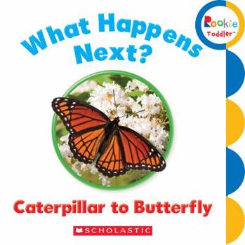 Board book What Happens Next? Caterpillar to Butterfly Book