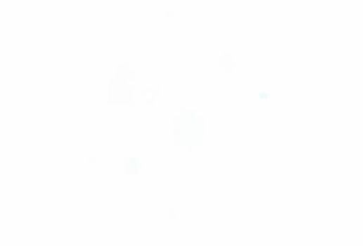 Digital Sandy Hook Elementary Book