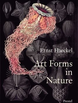 Paperback Art Forms in Nature: The Prints of Ernst Haeckel Book