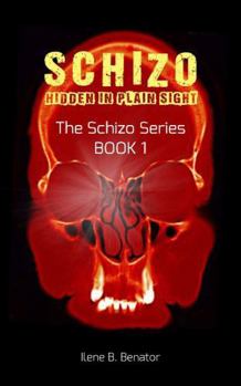 Paperback Schizo: Hidden in Plain Sight Book