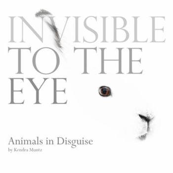 Hardcover Invisible to the Eye: Animals in Disguise Book