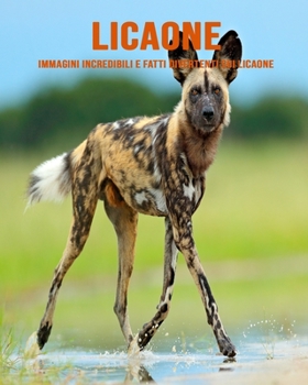 Licaone: Immagini incredibili e fatti divertenti sui Licaone