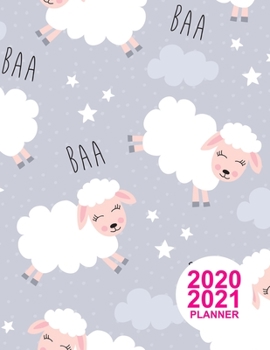 2020 2021 Planner: Nifty Two Year Monthly Weekly Daily Calendar Planner | 24 Months Jan 2020 to Dec 2021 For Academic Agenda Schedule Organizer Logbook and Daily Journal | Product Code BR 000023