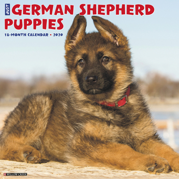 Calendar Just German Shepherd Puppies 2020 Wall Calendar (Dog Breed Calendar) Book