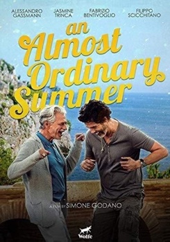 DVD An Almost Ordinary Summer Book