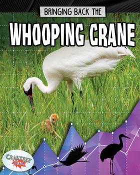 Paperback Bringing Back the Whooping Crane Book