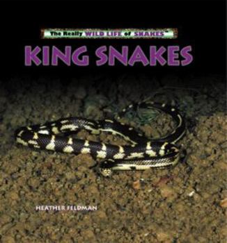 Library Binding King Snakes Book